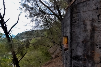 Looking northeast toward Sunset Beach, standing just outside the entranceway to the Bunker. Photo by James MacLaren.